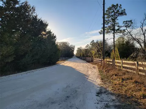 0 NE 20th St, Williston, FL 32696 photo 4