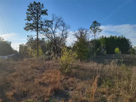 0 NE 20th St, Williston, FL 32696 photo 8