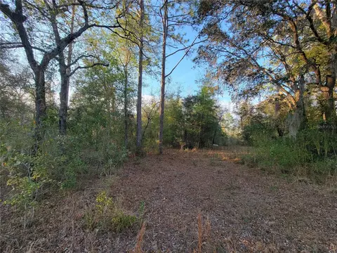 0 NE 20th St, Williston, FL 32696 photo 12