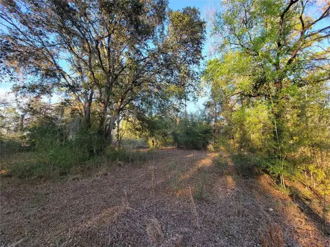 0 NE 20th St, Williston, FL 32696