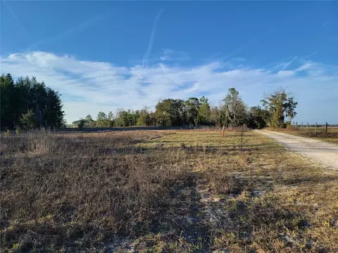 0 NE 20th St, Williston, FL 32696 photo 11