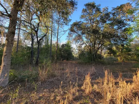 0 NE 20th St, Williston, FL 32696 photo 13