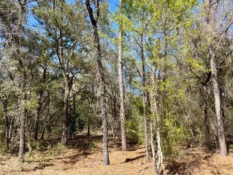 Tba SE 66th Place, Morriston, FL 32668