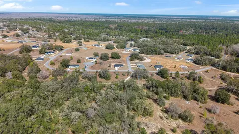 View/Area - 49 Locust Loop Cir, Ocala, FL 34472 photo 8 of 17
