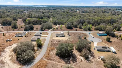 View/Area - 49 Locust Loop Cir, Ocala, FL 34472 photo 14 of 17
