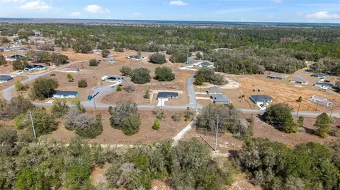 View/Area - 49 Locust Loop Cir, Ocala, FL 34472 photo 7 of 17