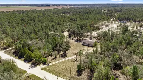 14650 SE 6th Ln, Williston, FL 32696 photo 10