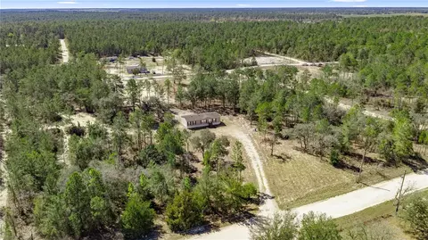 14650 SE 6th Ln, Williston, FL 32696 photo 8