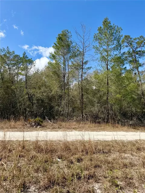 tbd NE 110th Ct, Fort Mc Coy, FL 32134