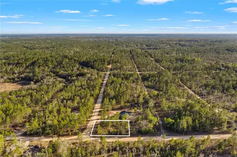 000 Rose St, Interlachen, FL 32148 photo 9