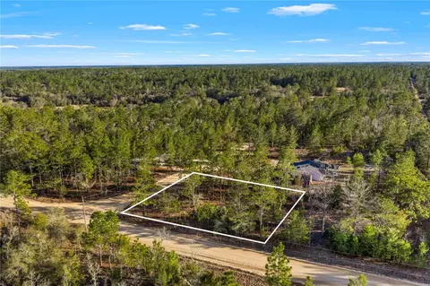 000 Rose St, Interlachen, FL 32148 photo 6
