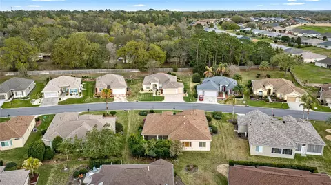 View/Area - 9512 SE 124th Loop, Summerfield, FL 34491 photo 4 of 28