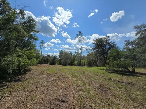 7112 N Lecanto Hwy Hwy, Hernando, FL 34442 photo 5