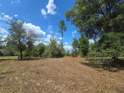 7112 N Lecanto Hwy Hwy, Hernando, FL 34442 photo 14