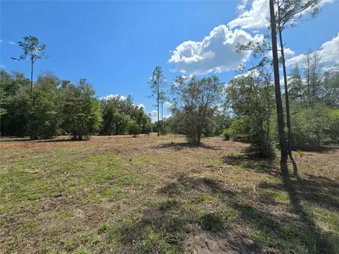 7112 N Lecanto Hwy Hwy, Hernando, FL 34442 photo 29