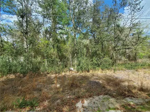 tbd NE 172nd Lot 11 Pl, Fort Mc Coy, FL 32134
