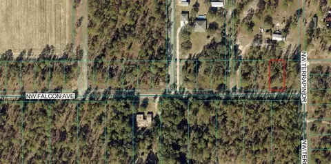 tbd NW Falcon Ave #LOT 33, Dunnellon, FL 34431