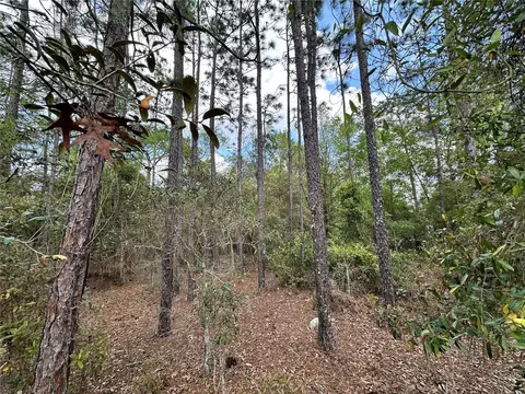 tbd SE 30th St, Morriston, FL 32668 photo 9