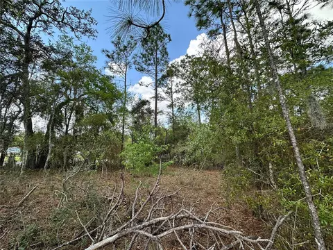 tbd SE 30th St, Morriston, FL 32668 photo 4
