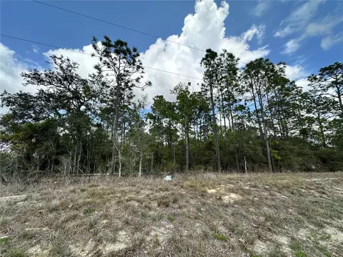 tbd SE 30th St, Morriston, FL 32668 photo 7