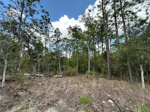 tbd SE 30th St, Morriston, FL 32668 photo 8