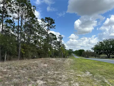 tbd SE 30th St, Morriston, FL 32668 photo 3