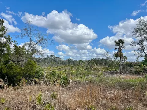 Shiloh Road, Cedar Key, FL 32625 photo 10