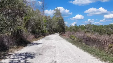 Shiloh Road, Cedar Key, FL 32625 photo 14