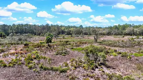 Shiloh Road, Cedar Key, FL 32625 photo 13