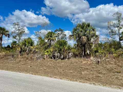Shiloh Road, Cedar Key, FL 32625 photo 8