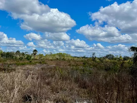 Shiloh Road, Cedar Key, FL 32625 photo 9