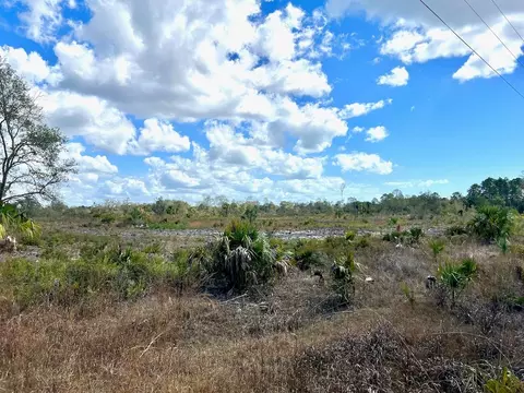 Shiloh Road, Cedar Key, FL 32625 photo 11