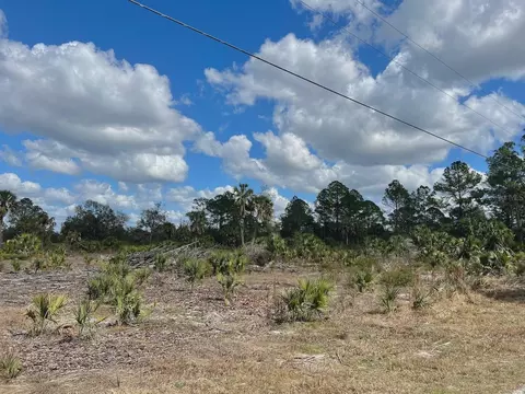 Shiloh Road, Cedar Key, FL 32625 photo 4