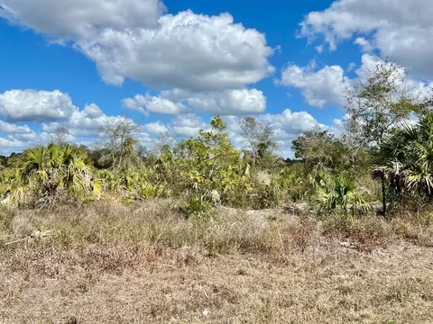 Shiloh Road, Cedar Key, FL 32625 photo 7