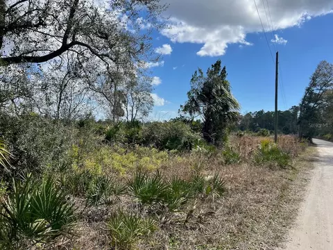 Shiloh Road, Cedar Key, FL 32625 photo 12