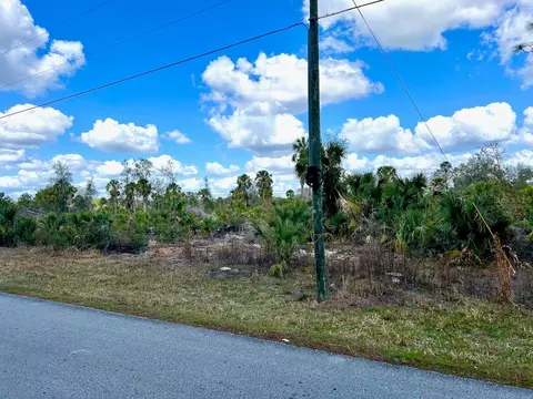Shiloh Road, Cedar Key, FL 32625 photo 3