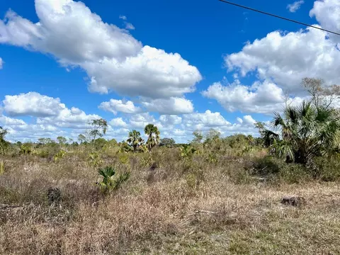 Shiloh Road, Cedar Key, FL 32625 photo 5