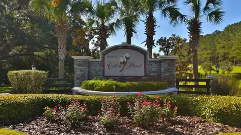 11 SW 144th Ct, Ocala, FL 34481