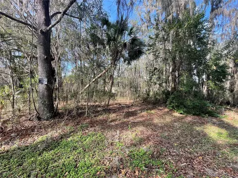 tbd SE 40th Loop, Ocala, FL 34480 photo 1