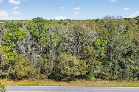 tbd NW Hwy 225a, Reddick, FL 32686 photo 5