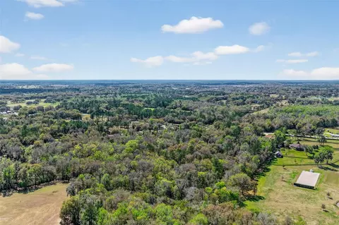 tbd NW Hwy 225a, Reddick, FL 32686 photo 9