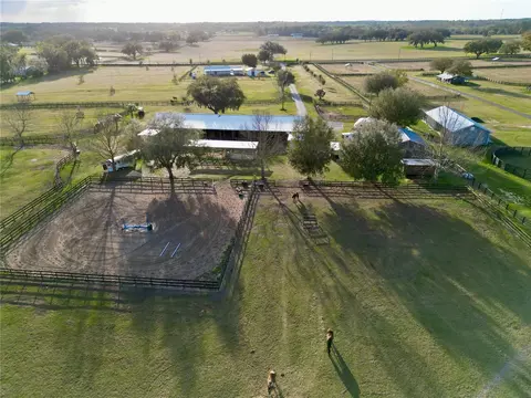 View/Area - 12895 NW Gainesville Rd, Reddick, FL 32686 photo 4 of 4