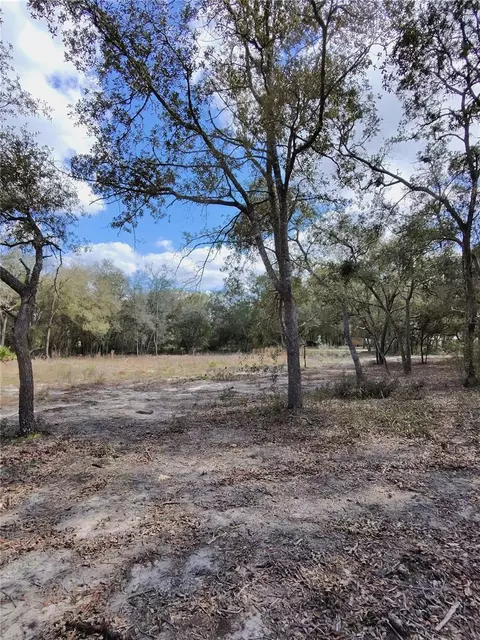 tbd NE 96th St, Archer, FL 32618 photo 8