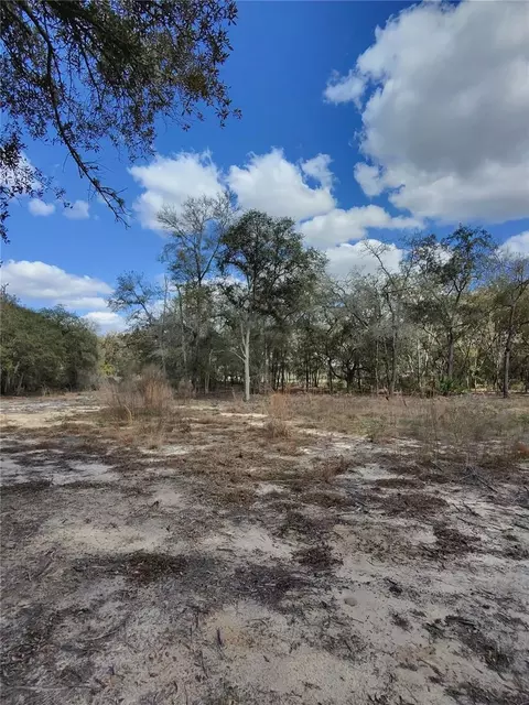 tbd NE 96th St, Archer, FL 32618 photo 7