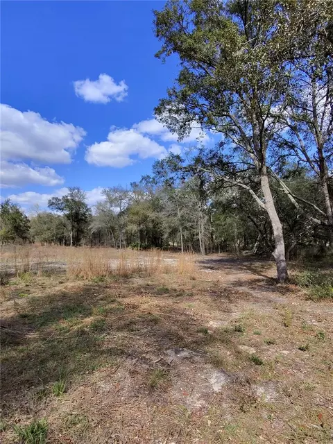 tbd NE 96th St, Archer, FL 32618 photo 2