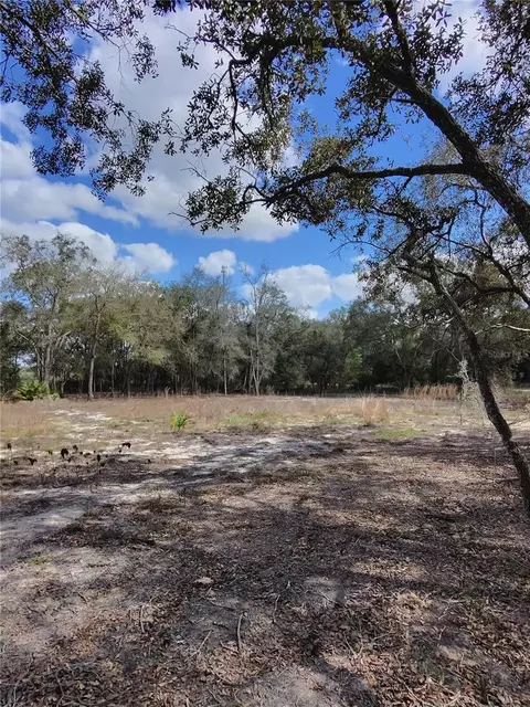 tbd NE 96th St, Archer, FL 32618 photo 6