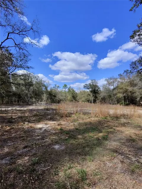 tbd NE 96th St, Archer, FL 32618 photo 3