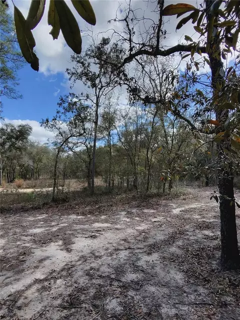 tbd NE 96th St, Archer, FL 32618 photo 9