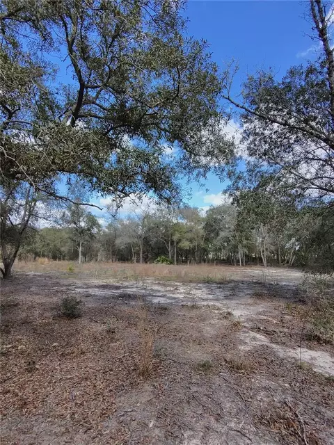 tbd NE 96th St, Archer, FL 32618 photo 5