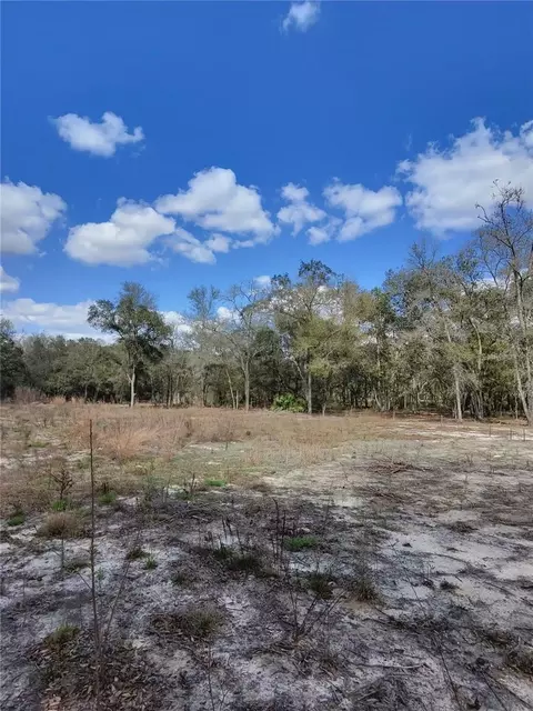 tbd NE 96th St, Archer, FL 32618 photo 4